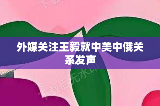 外媒关注王毅就中美中俄关系发声