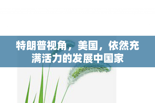 特朗普视角，美国，依然充满活力的发展中国家