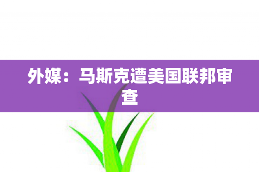 外媒：马斯克遭美国联邦审查