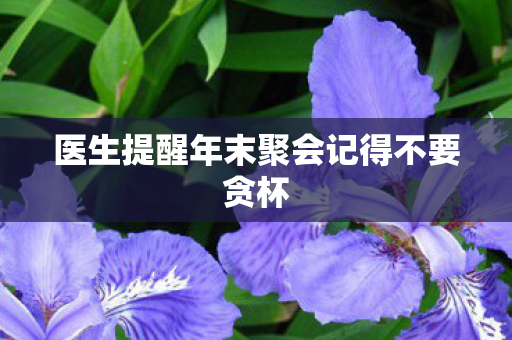 医生提醒年末聚会记得不要贪杯
