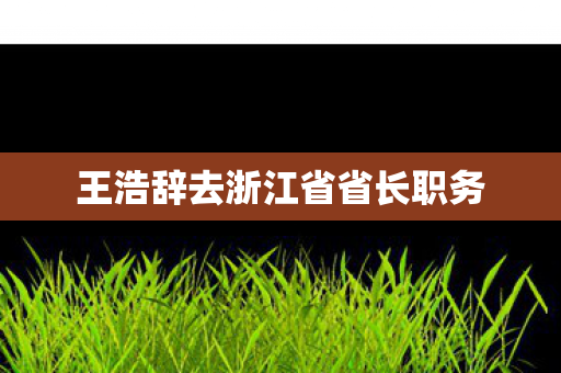 王浩辞去浙江省省长职务