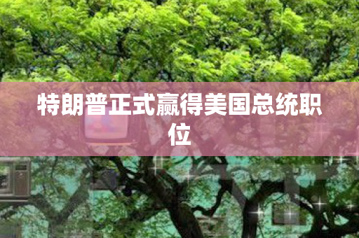 特朗普正式赢得美国总统职位