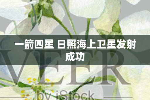 一箭四星 日照海上卫星发射成功