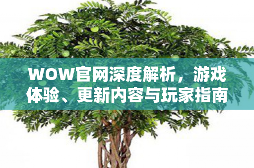 WOW官网深度解析，游戏体验、更新内容与玩家指南一网打尽
