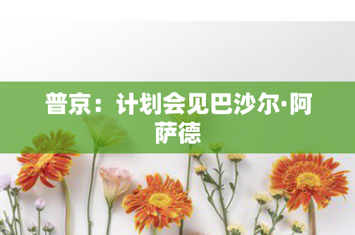 普京：计划会见巴沙尔·阿萨德