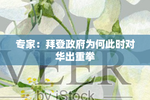 专家：拜登政府为何此时对华出重拳