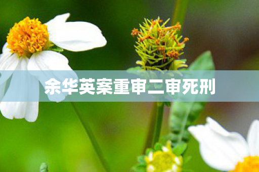 余华英案重审二审死刑