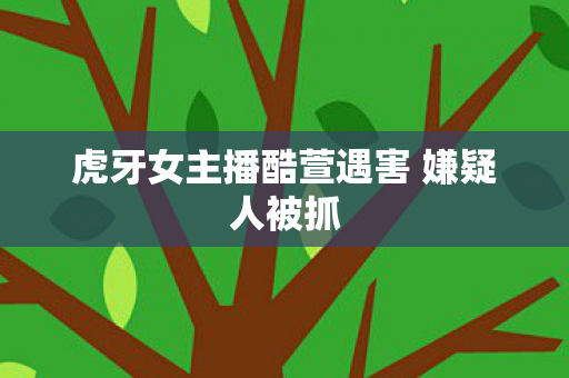 虎牙女主播酷萱遇害 嫌疑人被抓