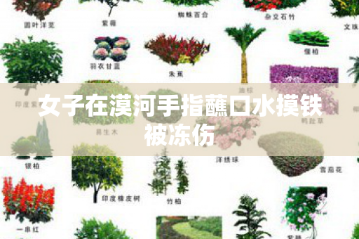 女子在漠河手指蘸口水摸铁被冻伤