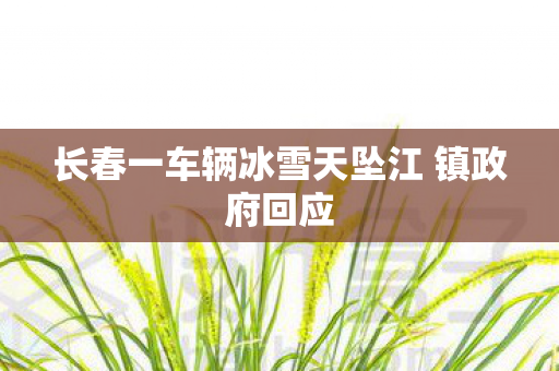 长春一车辆冰雪天坠江 镇政府回应