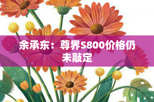 余承东：尊界S800价格仍未敲定
