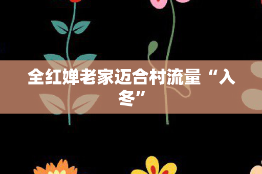 全红婵老家迈合村流量“入冬”