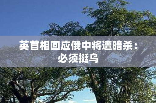 英首相回应俄中将遭暗杀：必须挺乌