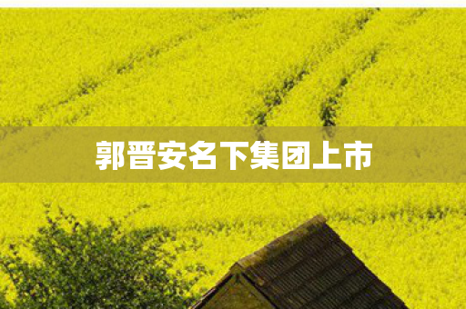 郭晋安名下集团上市