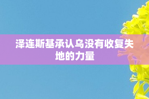 泽连斯基承认乌没有收复失地的力量