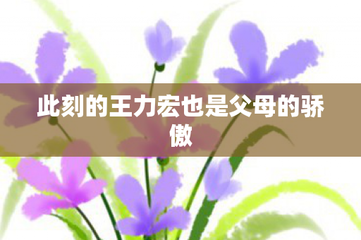 此刻的王力宏也是父母的骄傲