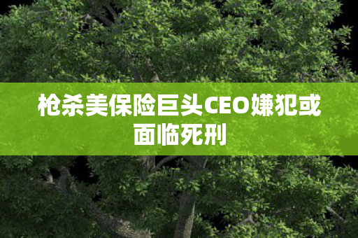 枪杀美保险巨头CEO嫌犯或面临死刑