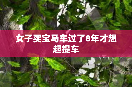 女子买宝马车过了8年才想起提车