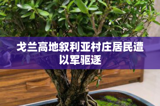 戈兰高地叙利亚村庄居民遭以军驱逐