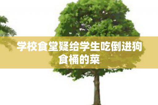 学校食堂疑给学生吃倒进狗食桶的菜