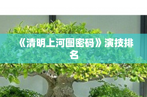 《清明上河图密码》演技排名
