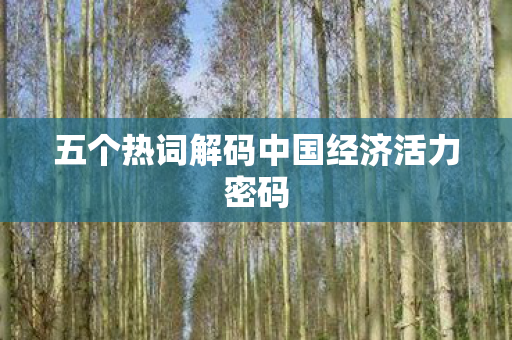五个热词解码中国经济活力密码