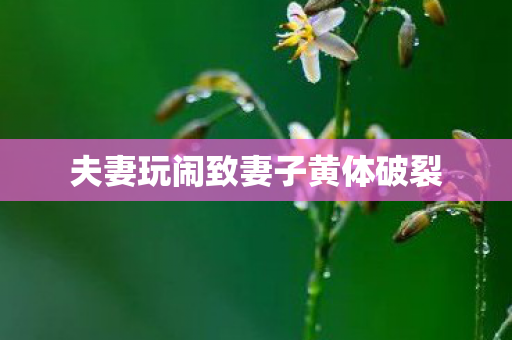 夫妻玩闹致妻子黄体破裂