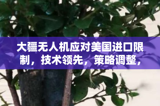 大疆无人机应对美国进口限制，技术领先，策略调整，全球市场持续发力