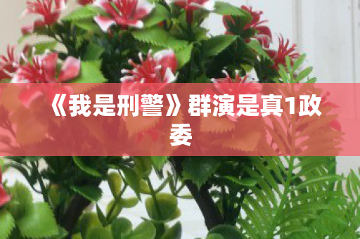 《我是刑警》群演是真1政委
