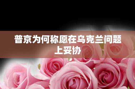 普京为何称愿在乌克兰问题上妥协