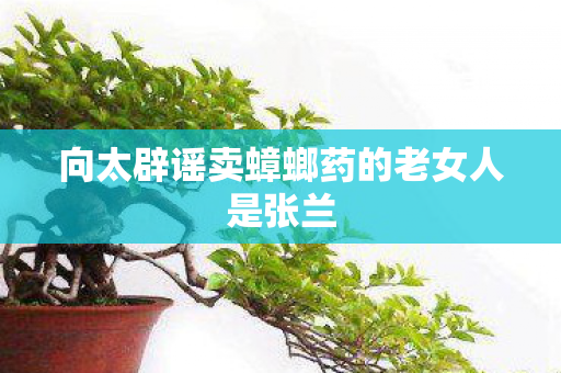 向太辟谣卖蟑螂药的老女人是张兰