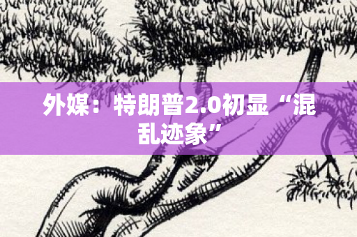 外媒：特朗普2.0初显“混乱迹象”