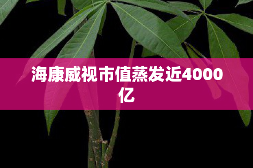 海康威视市值蒸发近4000亿