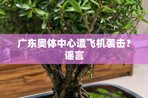 广东奥体中心遭飞机袭击？谣言