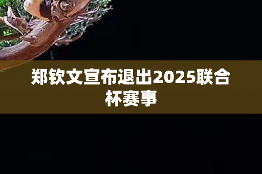 郑钦文宣布退出2025联合杯赛事