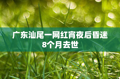 广东汕尾一网红宵夜后昏迷8个月去世