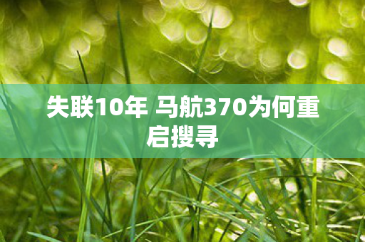 失联10年 马航370为何重启搜寻