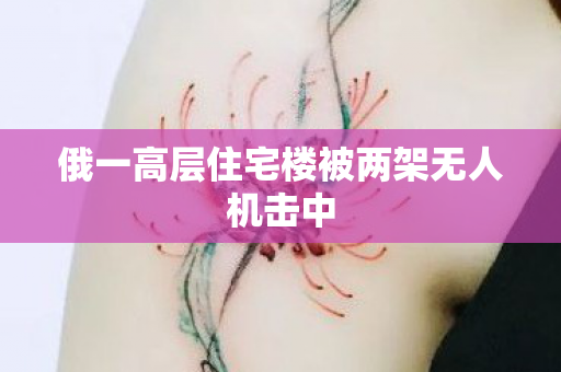 俄一高层住宅楼被两架无人机击中