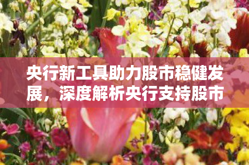 央行新工具助力股市稳健发展，深度解析央行支持股市新举措的落地实施