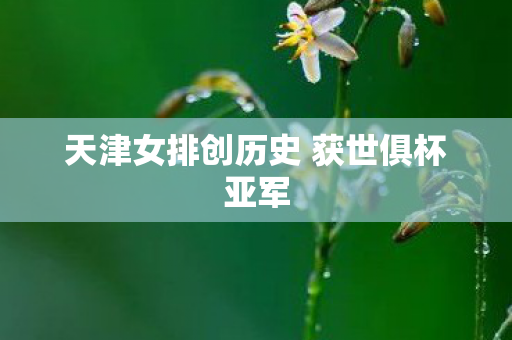 天津女排创历史 获世俱杯亚军