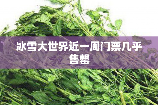 冰雪大世界近一周门票几乎售罄