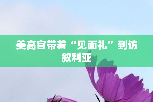 美高官带着“见面礼”到访叙利亚