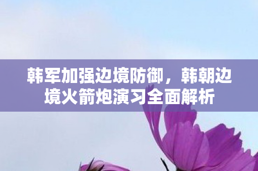 韩军加强边境防御，韩朝边境火箭炮演习全面解析