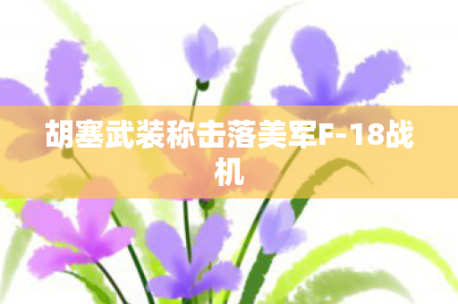 胡塞武装称击落美军F-18战机