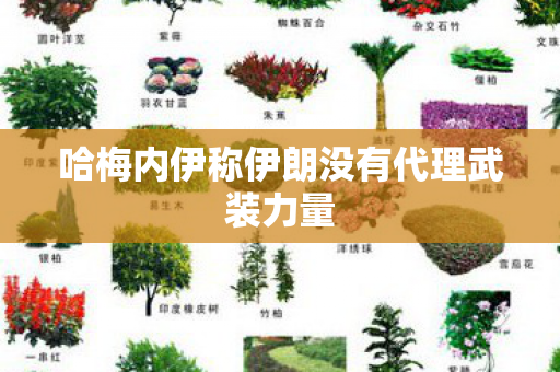 哈梅内伊称伊朗没有代理武装力量