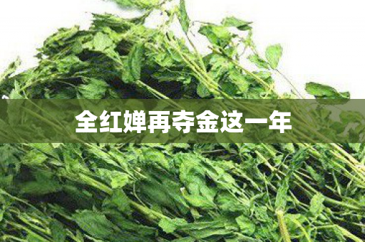 全红婵再夺金这一年
