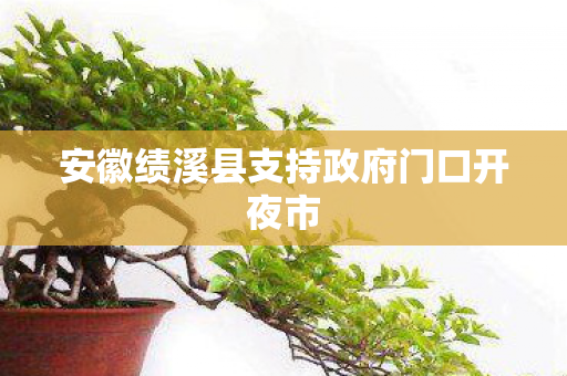 安徽绩溪县支持政府门口开夜市