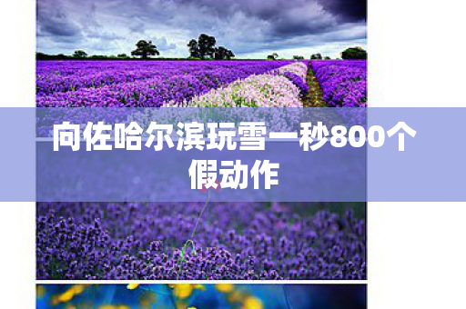 向佐哈尔滨玩雪一秒800个假动作