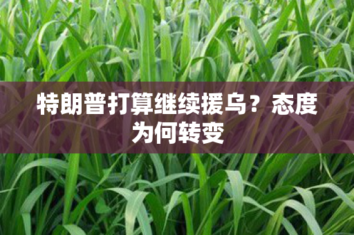 特朗普打算继续援乌？态度为何转变