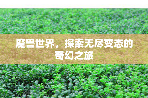 魔兽世界，探索无尽变态的奇幻之旅